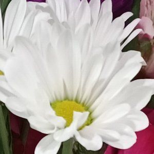 Meet your Posher, Lourdes